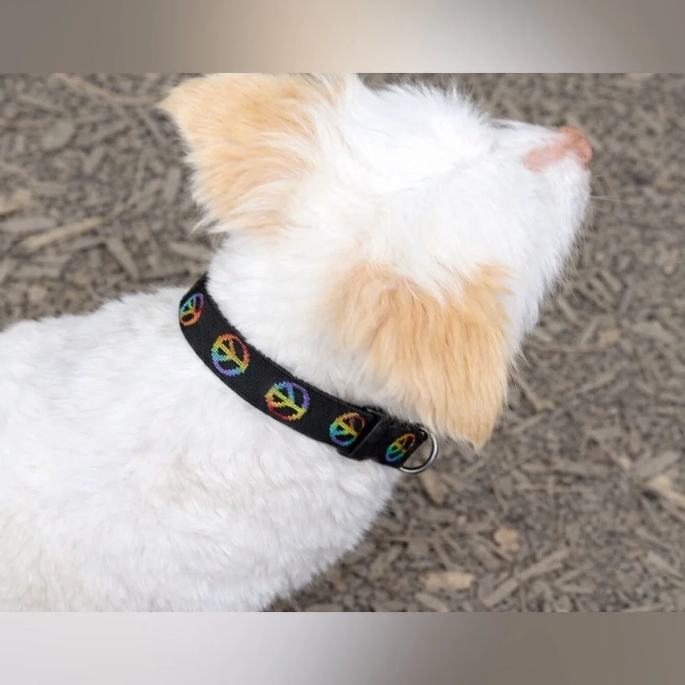 Lupine Original Woofstock Peace Sign Dog Collar Size Small